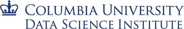 DSI logo